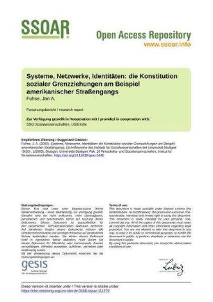 Systeme, Netzwerke, Identitäten: die Konstitution sozialer Grenzziehungen am Beispiel amerikanischer Straßengangs