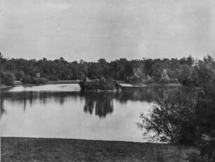 Am See : Blick über einen See mit Wald am Ufer