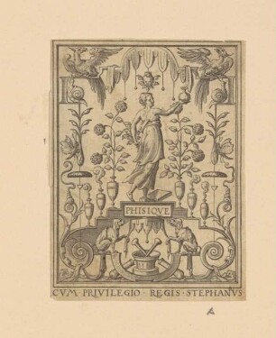 Physik (Delaune, Wissenschaften)