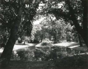 Senftenberg. Schlosspark. Blick über Schlossteich