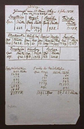 Zählung der Arten und Stücke der Sammlung