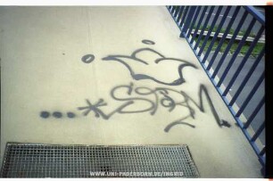 ...*SToRM*