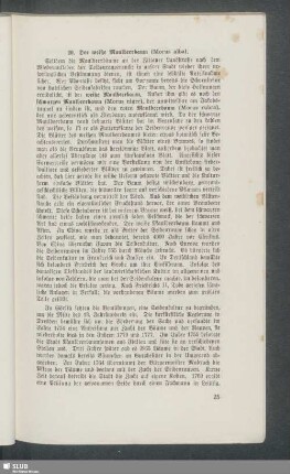 20. Der weiße Maulbeerbaum (Morus alba)