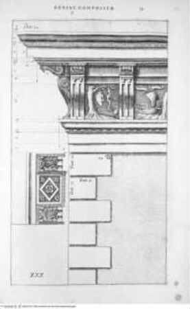Regola de' Cinque Ordini d'Architettura (polygl.). Di M. Giacomo Barozzio da Vignola. Con la nuova aggionta di Michael-Angelo Buonaroti., Tafel XXX (Folio 36): Gesims, Details