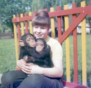Frankfurt (Main). Zoo. Tierpflegerin mit Affenbabys