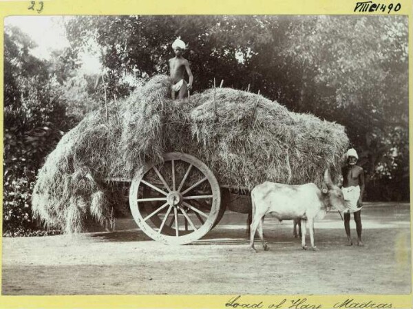 Load of Hay