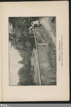 Waldpark zu Weißenborn. (Älterer Teich am Wege nach Bellmannsbrunnen)