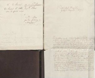 Karoline Friederike Luise Wilhelmine von Poly an Karoline Luise von Baden (Guntersblum)