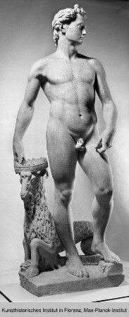Apoll (Allegorie auf Cosimo I. de' Medici)