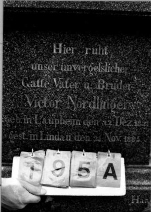 Grabstein 195A