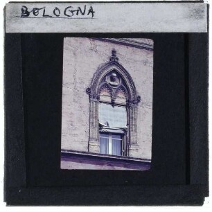 Bologna, Palazzo Isolani : Fenster