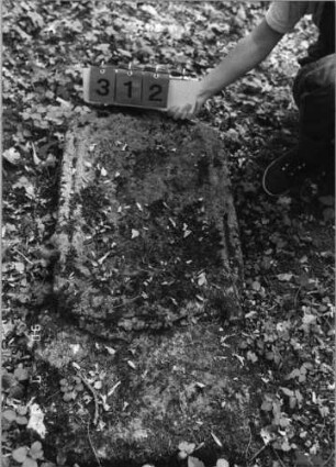 Grabstein 312 (Index: 99791364) Zustand: verwittert Maße HxBxT: 102x49xo.A. cm: Grabstein 312