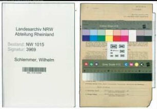 Entnazifizierung Wilhelm Schlemmer , geb. 04.01.1890 (Handelslehrer)