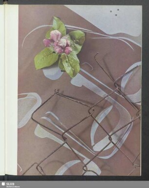 "Apfelblüte"-Agfacolor