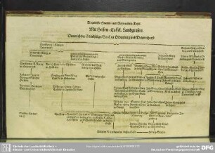 Die zwölfte Stamm- und Verwandnis-Tafel. Mit Hessen-Cassel Landgrafen