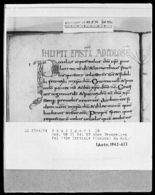 Bibliorum pars finalis, Pauli epistolae, Actus apostolorum, Epistolae canonicae, Apocalypsis — Initiale P(aulus), Folio 115verso