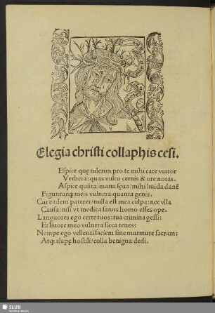 Elegia christi collaphis cesi.