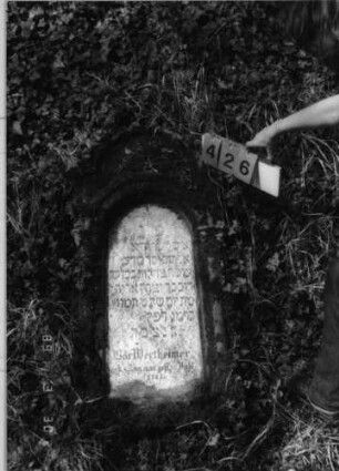 Grabstein 426 (Index: 99792017) Material: Sandstein, weiße Marmorplatte Zustand: leicht verwittert, Stele liegend Maße HxBxT: 108x60x18 cm Beschreibung: ädikulaartige Stele mit Halbsäulen, eingezogener Rundbogenabschluß, Schriftplatte Symbolik: Ranken: Grabstein 426
