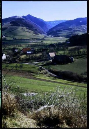 Oberried, Geroldstal: Geroldstal mit Zastler
