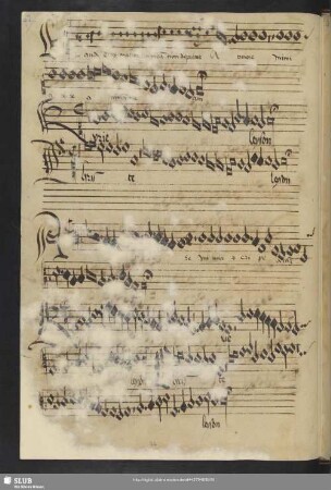 [Anon.:] Kyrie eleison