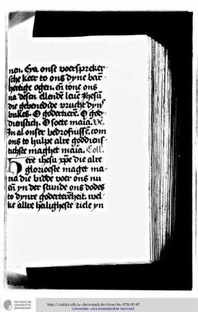 Die kurzen Tagzeiten vom H. Kreuz. Übersetzung von Geert Groote