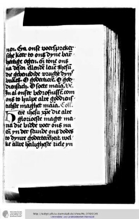 Die kurzen Tagzeiten vom H. Kreuz. Übersetzung von Geert Groote