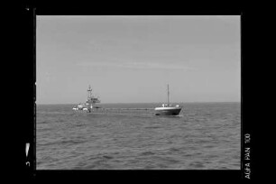 Hanne (1984)