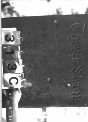 Grabstein 313 (Index: 99609950) Material: Sandstein Zustand: leicht, am Sockel stark verwittert Maße HxBxT: 248x72x36 cm Beschreibung: Stele, Abdeckplatte, Volutenaufsatz, Seitenakrotere, Mittelpalmette, Schriftfeld eingetieft, getreppter Sockel, darauf gekreuzte Palmzweige Symbolik: Voluten, Palmette, gekreuzte Palmzweige: Grabstein 313C