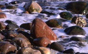 Insel Rügen - Steine im Meer : Steine in der Ostsee. Aufgenommen 2001