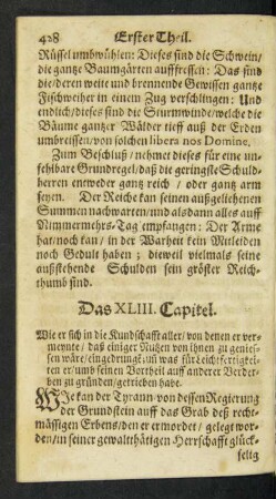 Das XLIII. Capitel.