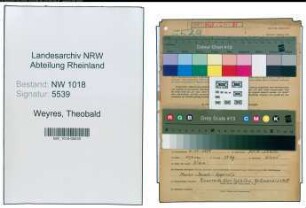 Entnazifizierung Theobald Weyres , geb. 06.10.1889 (Chemiker)