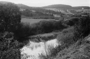 Donautal : Landschaftsbild des Donautales nahe der Versickerungsstelle