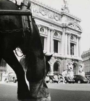 le cheval et l 'opera, Paris