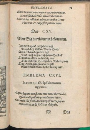 Emblema CXVI. In eum qui sibi ipsi damnum apparat.