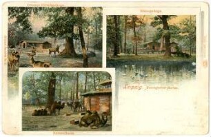 Leipzig. Zoologischer Garten. Kamelhaus. Bisongehege. Grosses Hirschgehege [Offizielle Postkarte8]