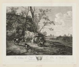 Rinder und Ziegen am Waldrand