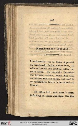 Neunzehntes Kapitel