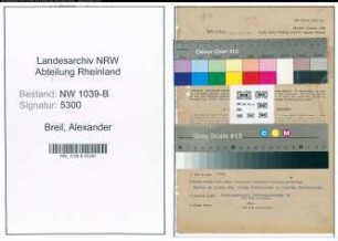 Entnazifizierung Alexander Breil , geb. 15.02.1892 (Angestellter)
