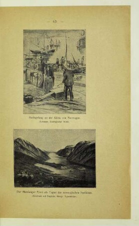 Der Hardanger Fjord als Typus der norwegischen Steilküste
