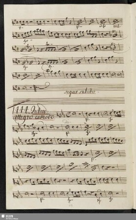 1444. Introduzione: Ernestina m'ha tradito / Piticchio, F.