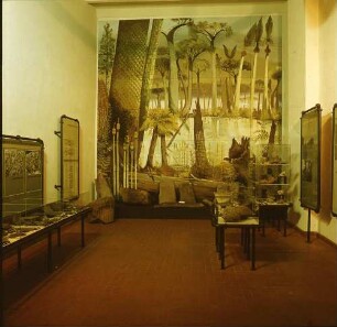Oelsnitz, Pflockenstraße. Bergbaumuseum. Raumaufnahme mit Ausstellungsvitrinen zur Geologie