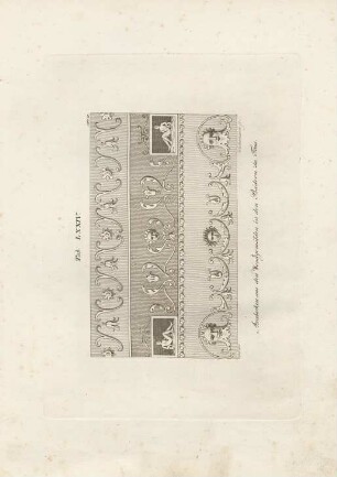 Tab. LXXIV.