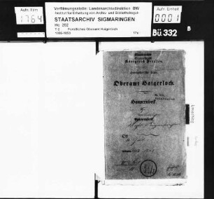Gruol: Vogt- und Bürgermeisterwahlen
