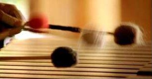 Touch the Sound
