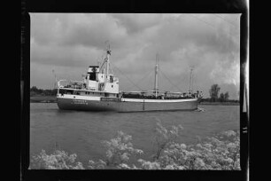 Heinrich S. (1964), T. Schepers, Elsfleth