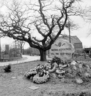 Ehrenmal mit Kranzschmuck und Baum: hinten links Umspannstation: im Hintergrund Bauernhäuser