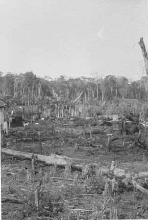 Rodung : Gerodeter Wald bei Gracianópolis.