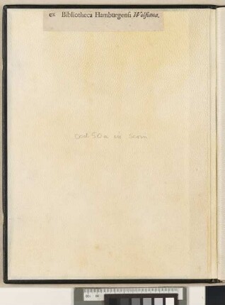 [Nicolaus  Cyclus Paschalis] : Cod. in scrin. 50a