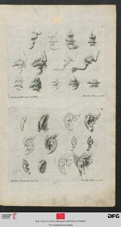 Taf. 4 [Ohren (Kontur-Schraffur, teilw. mit Linearkreuz)]