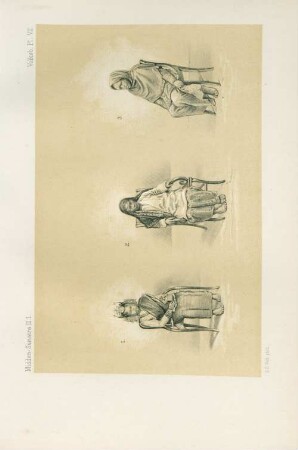 Pl. VII